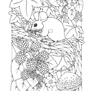 St Eanswythe Colouring Book - Individual Page - The Churchyard Mouse