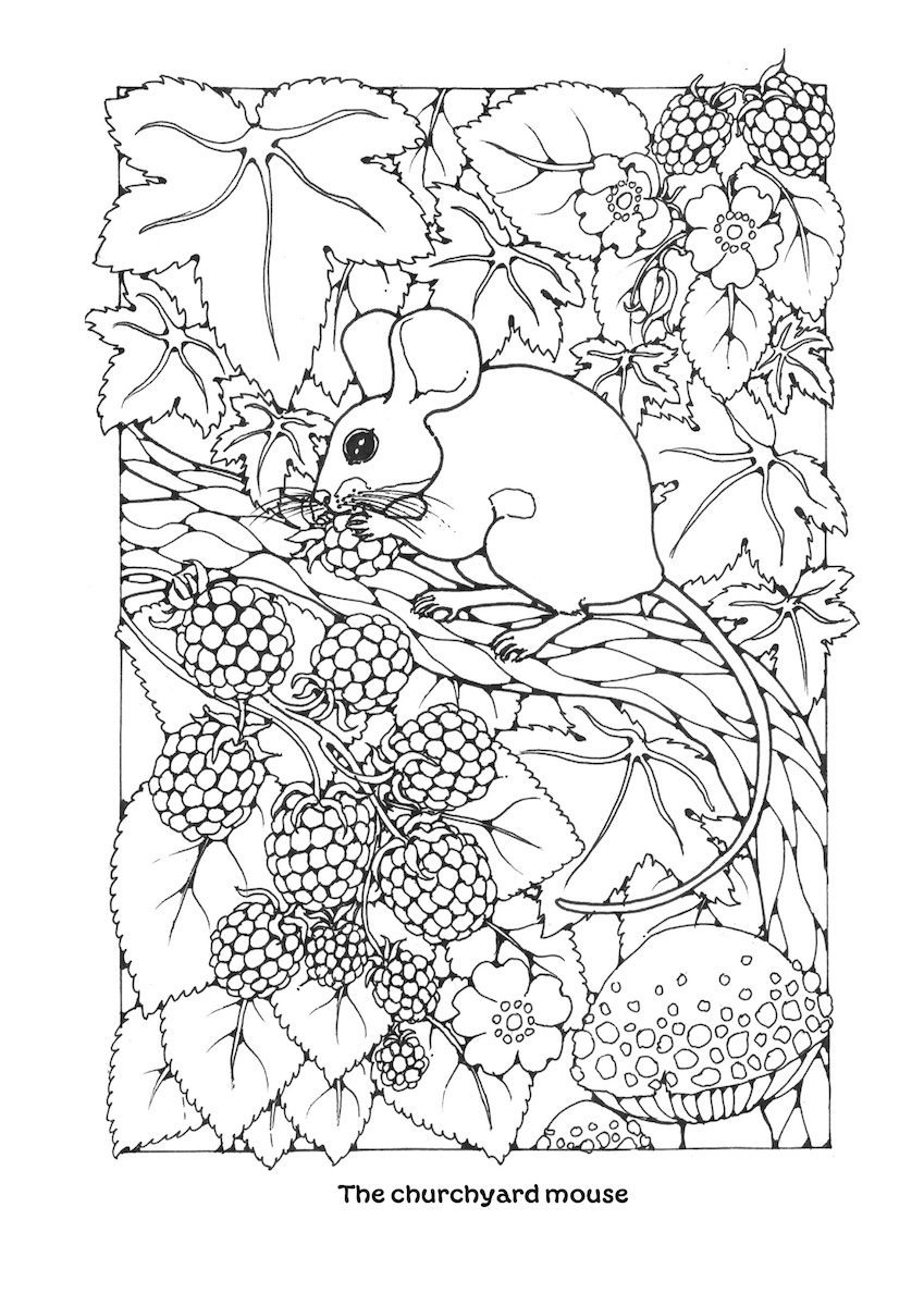 St Eanswythe Colouring Book - Individual Page - The Churchyard Mouse