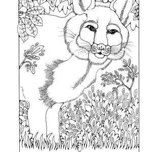St Eanswythe Colouring Book - Individual Page - The Fox