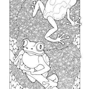 St Eanswythe Colouring Book - Individual Page - The Frogs