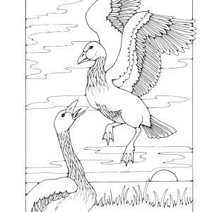 St Eanswythe Colouring Book - Individual Page - The Geese