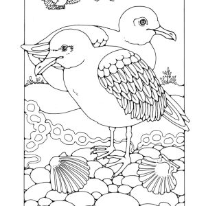 St Eanswythe Colouring Book - Individual Page - The Gulls