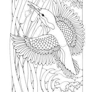 St Eanswythe Colouring Book - Individual Page - The Kingfisher