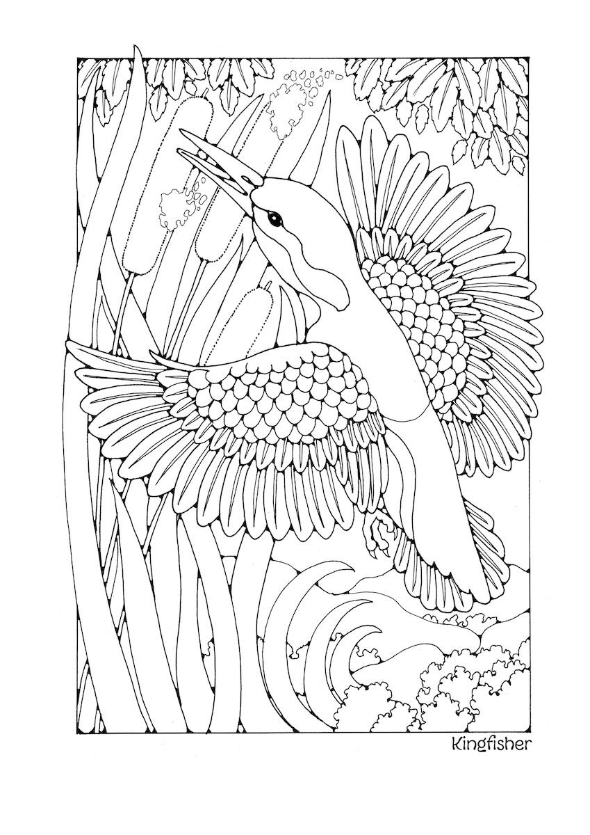 St Eanswythe Colouring Book - Individual Page - The Kingfisher