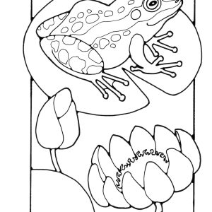 St Eanswythe Colouring Book - Individual Page - The Lilypad
