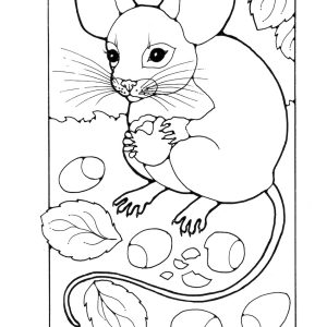 St Eanswythe Colouring Book - Individual Page - The Mouse