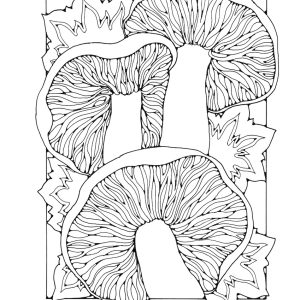 St Eanswythe Colouring Book - Individual Page - The Mushrooms