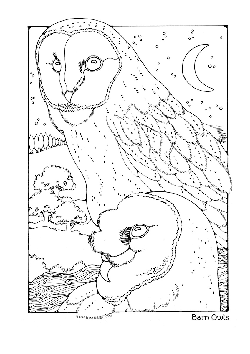 St Eanswythe Colouring Book - Individual Page - The Owls