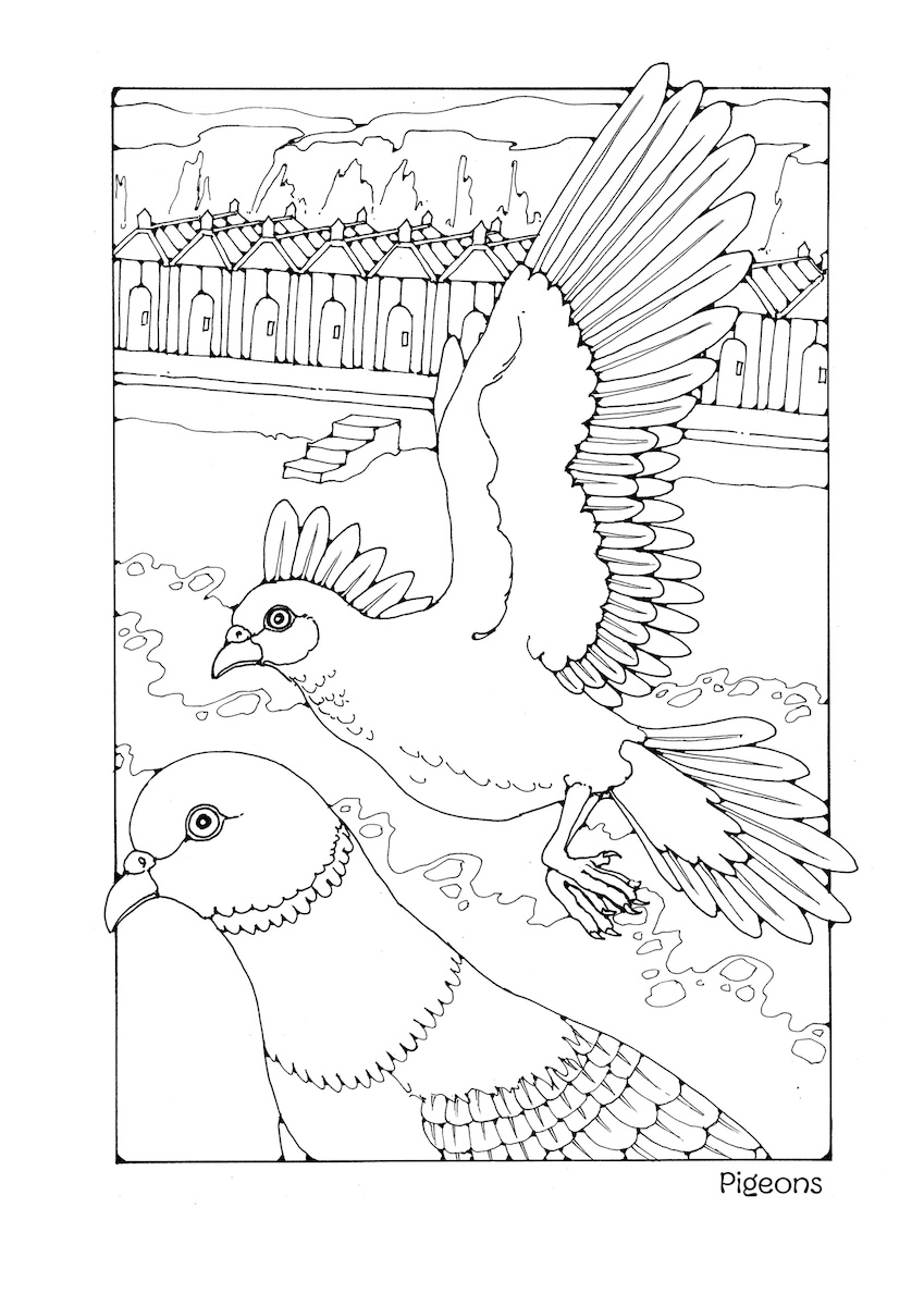St Eanswythe Colouring Book - Individual Page - The Pigeons