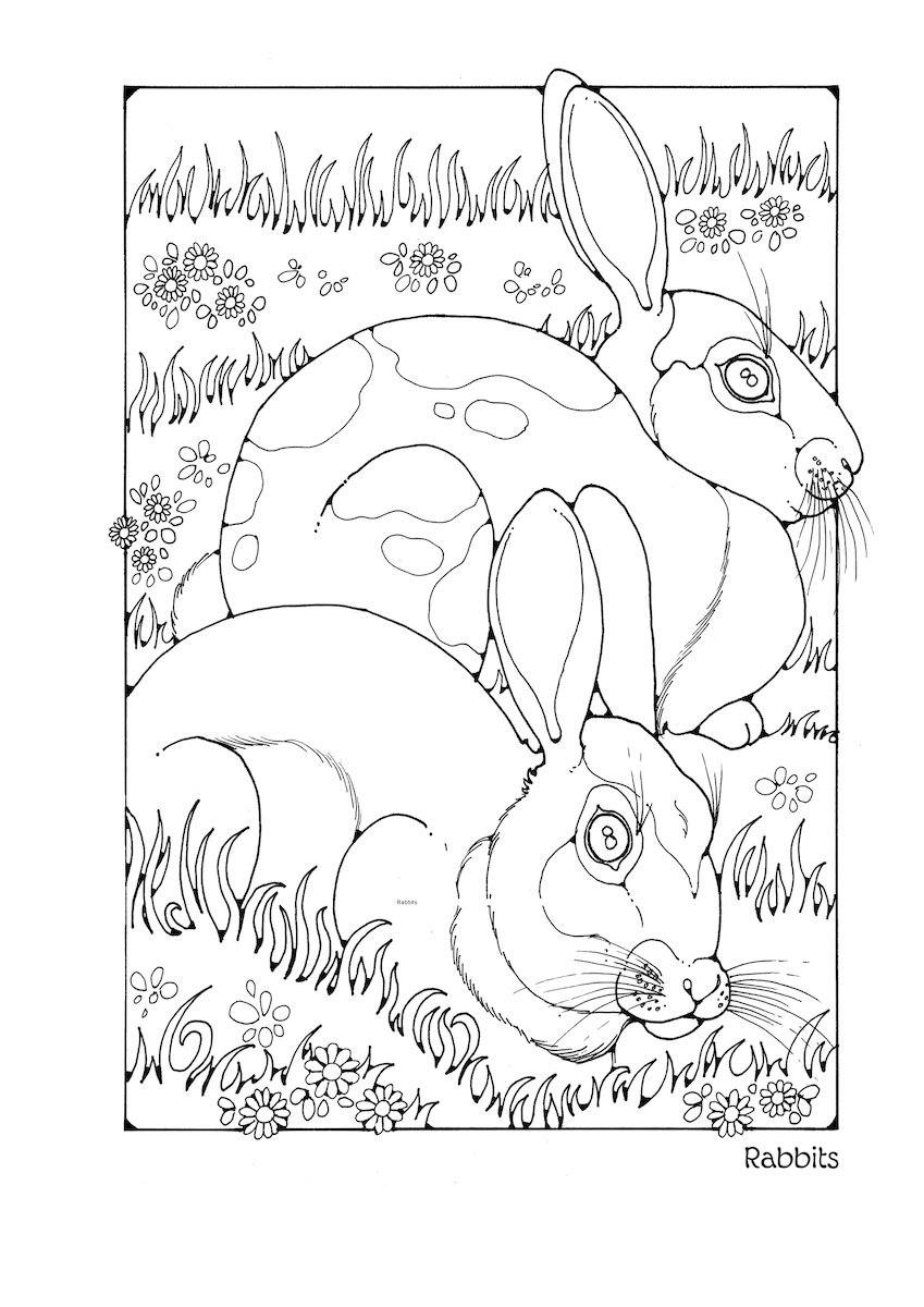 St Eanswythe Colouring Book - Individual Page - The Rabbits