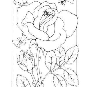 St Eanswythe Colouring Book - Individual Page - The Rose