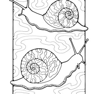 St Eanswythe Colouring Book - Individual Page - The Snails