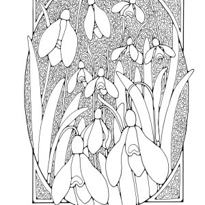 St Eanswythe Colouring Book - Individual Page - The Snowdrops