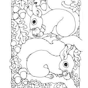 St Eanswythe Colouring Book - Individual Page - The Squirrels