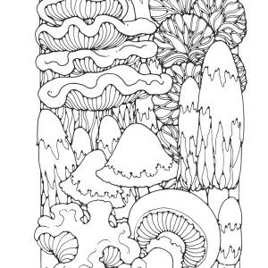 St Eanswythe Colouring Book - Individual Page - The Toadstools