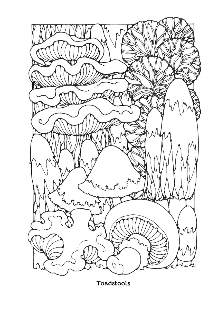 St Eanswythe Colouring Book - Individual Page - The Toadstools